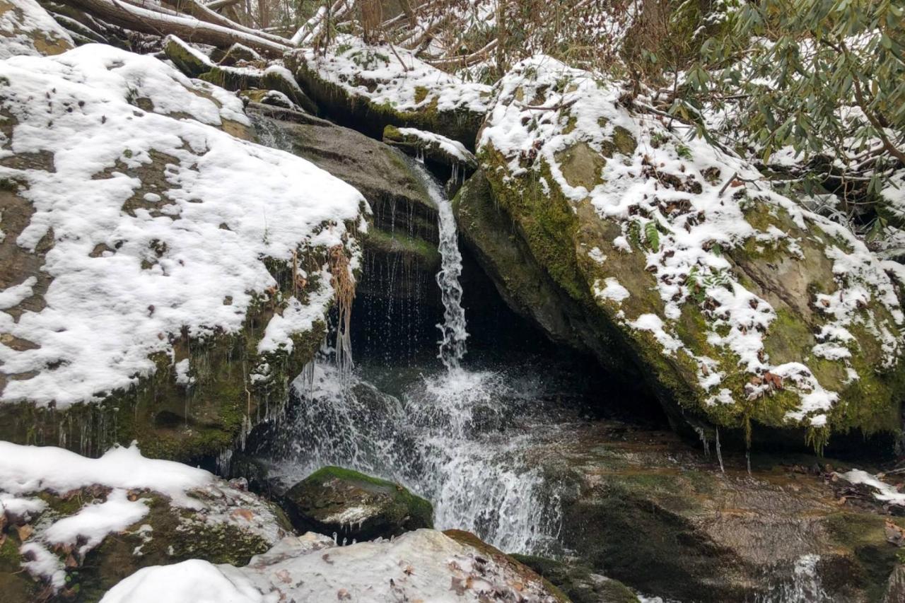 Waterfall Cabin McCookville 外观 照片