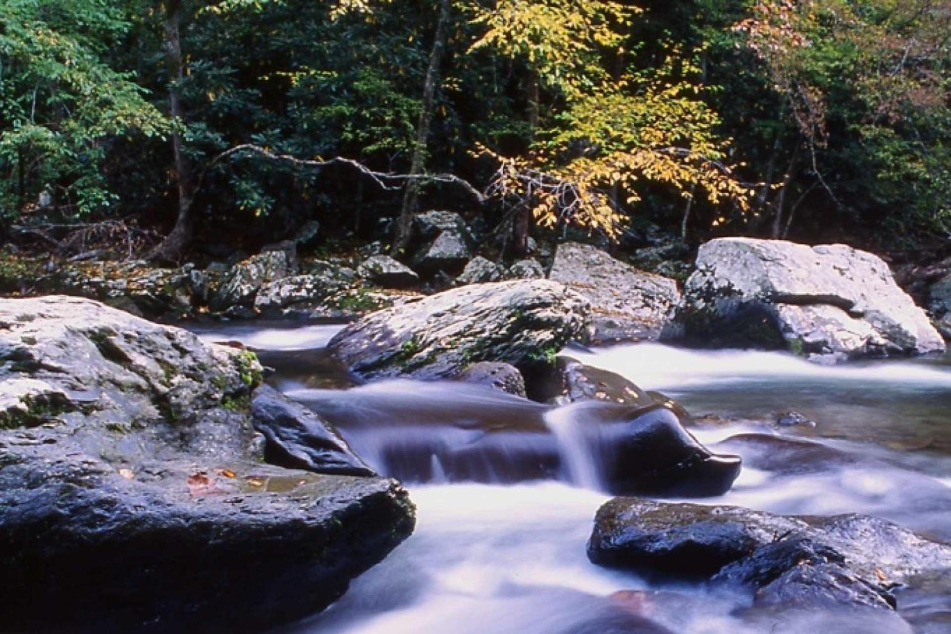 Waterfall Cabin McCookville 外观 照片